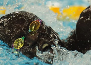 Natation01 une
