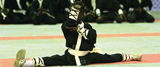 Nuit des arts martiaux (26ème édition) : un spectacle féerique - wiwsport artmartiaux une