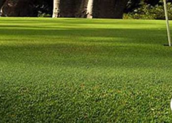 Assemblée Générale de la FSG : Les golfeurs demandent à l'état leur terrain de Diamniadio
