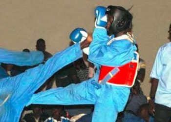 Tournoi mondial de Viet Vo Dao Paris 2014 : Le Sénégal face au stress des visas - wiwsport