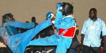 Tournoi mondial de Viet Vo Dao Paris 2014 : Le Sénégal face au stress des visas - wiwsport