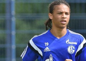 LeroySane01 une