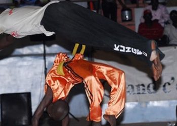 Nuit des arts martiaux, le 27 décembre à Marius Ndiaye : Sous le sceau de la paix ! - wiwsport