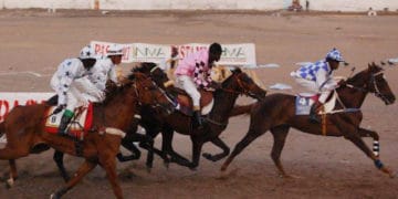 Courses hippiques : 2e journée : Dalinkor réussit la passe de deux - wiwsport