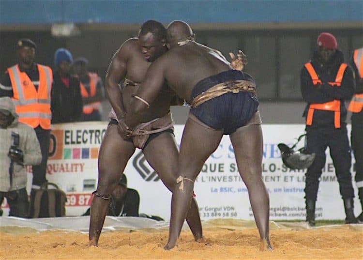 Balla Dièye, encadreur de Modou Lô : « La tête basse de Modou Lô a empêché à Lac 2, le plaquage » - wiwsport Balla Dièye, encadreur de Modou Lô : « La tête basse de Modou Lô a empêché à Lac 2, le plaquage » - wiwsport