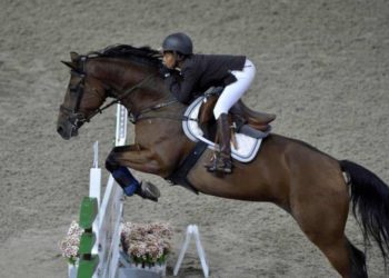 Sports équestres : Grand prix corsaire : Maeva Boyer dompte les cavaliers étrangers