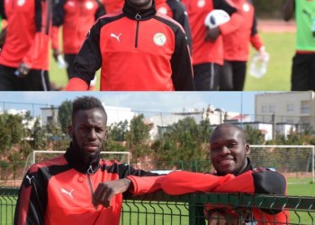 Découvrez les nouveaux kits « Puma » mis en valeur par les Lions