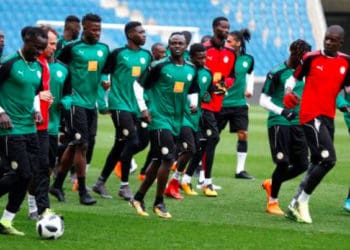 Regardez la séance d'entraînement des Lions du Sénégal à Vittel - wiwsport