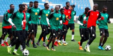 3-5-2 des lions: Le débat des techniciens et observateurs - wiwsport