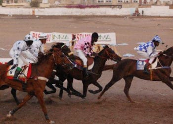 Courses hippiques : Grand prix du premier ministre : Makha succède à Buraax