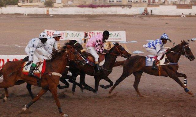 Courses hippiques : Grand prix du premier ministre : Makha succède à Buraax - wiwsport Courses hippiques : Grand prix du premier ministre : Makha succède à Buraax - wiwsport
