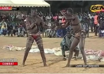 Laye gote bat tonnerer 2 - wiwsport