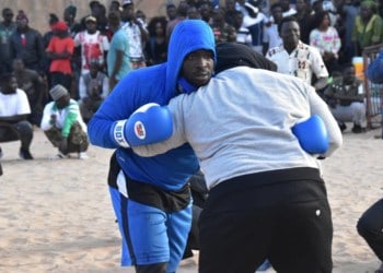 Siteu: « Gouye Gui est vieux, il n'a qu'à attendre je ferai tout le boulot » - wiwsport