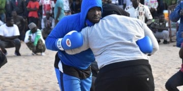 Siteu: « Gouye Gui est vieux, il n'a qu'à attendre je ferai tout le boulot » - wiwsport