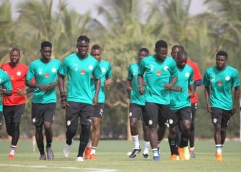LIVE - Suivez l'entrainement "Tagato" des Lions en direct - wiwsport
