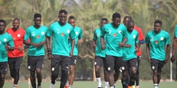 LIVE - Suivez l'entrainement "Tagato" des Lions en direct - wiwsport