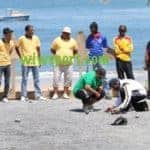 Sports boules - Ouverture du Premier Open international de Dakar en images - wiwsport
