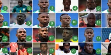 Club, âge, taille... : La revue d'effectif en équipe nationale, portraits-robots des 23 Lions - wiwsport