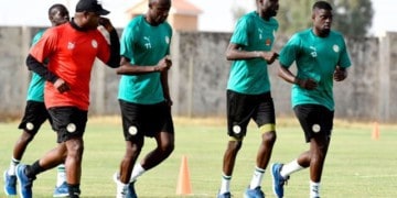 Exclusivité : Entraînement des lions en direct sur wiwsport.com - wiwsport