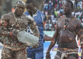 Ama Baldé: "Barki Serigne Fallou, Modou Lo gnémé wou ma, … Je suis Plus doué que lui" - wiwsport