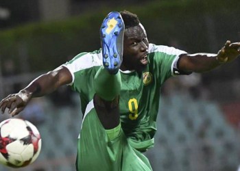 Infirmerie des Lions : des nouvelles rassurantes des blessés - wiwsport