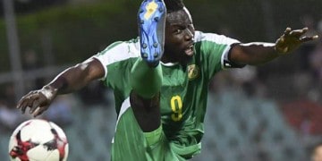 Infirmerie des Lions : des nouvelles rassurantes des blessés - wiwsport