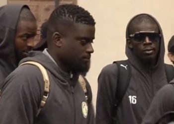 Arrivée en Croatie : Les Lions à Osijek aujourd’hui - wiwsport