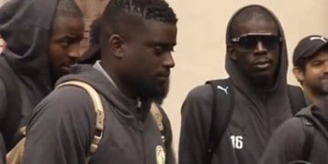 Arrivée en Croatie : Les Lions à Osijek aujourd’hui - wiwsport