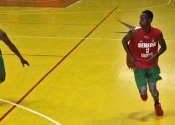 El Hadj Omar Badio, meneur des Lions : « C’est une fierté de défendre les couleurs de son pays »