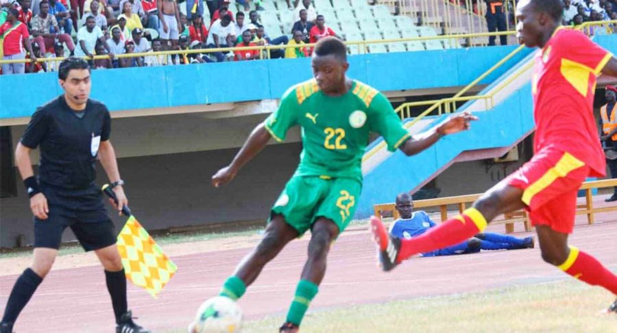 CAN U20 : Les lionceaux touchent une prime de qualification de 28 millions - wiwsport CAN U20 : Les lionceaux touchent une prime de qualification de 28 millions - wiwsport