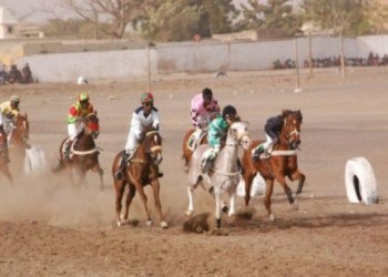 Le Crg de Dakar dimanche à Thiès : Les poulains de 3 ans et les 2 ans fusionnés