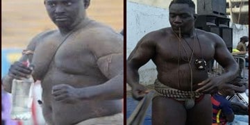 Open-press: Modou Lô et Papa Sow boostent Gora Sock - wiwsport