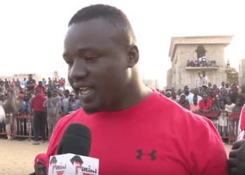 Papa Sow signe son retour à l’open presse de Dame Sène