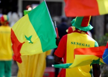 Entre insultes et bagarres dans l’avion : le retour des supporteurs sénégalais a été mouvementé