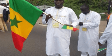 Championnats d'Afrique: Le DTN satisfait de la prestation du Sénégal - wiwsport
