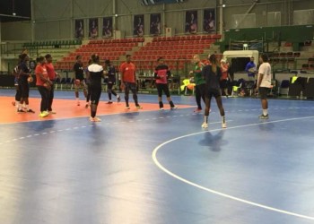 Préparation CAN: Les lionnes jouent un match amical ce vendredi
