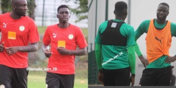 Zapping : Délire des Lions -wiwsport.com - wiwsport