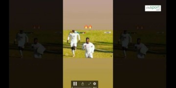 Zapping : week-end des lions -wiwsport.com - wiwsport