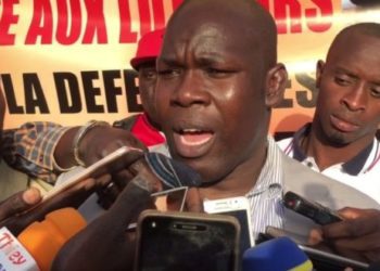 Khadim Gadiaga, Président des lutteurs en activité: « Changer Alioune Sarr et ses douze copains »