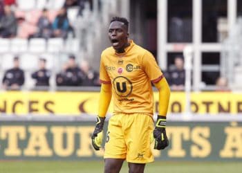 Edouard Mendy, gardien des Lions : A la hauteur des attentes