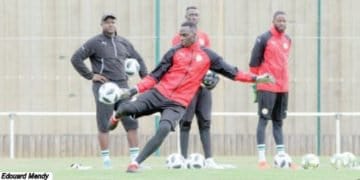 Gardien de but des Lions : Edouard Mendy pourrait se lancer à Bata - wiwsport