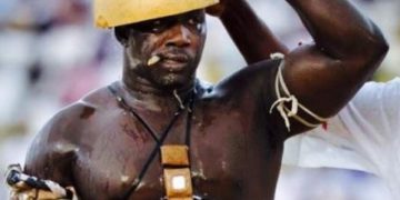 Tigre de Fass-Qui après Gris-Bordeaux ? - wiwsport