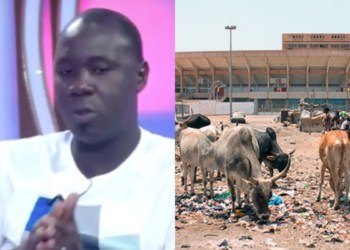 Moussa Ndiaye, ancien international déplore l’état du stade Léopold Sédar Senghor
