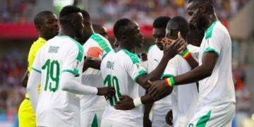 Zapping : L'ambiance chez les Lions !!! - wiwsport