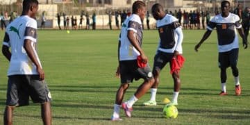 Can 2019: Stage des "lions" : la Fédé déjoue les plans de Cissé - wiwsport