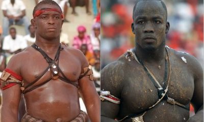 Tidiane Faye vs Tonnerre (à Linguère) : Kapy Productions retient le 13 janvier 2019 - wiwsport Tidiane Faye vs Tonnerre (à Linguère) : Kapy Productions retient le 13 janvier 2019 - wiwsport