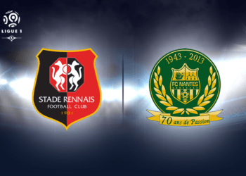 France – Ligue 1 – Les Lions se jaugent avant de retrouver la Tanière