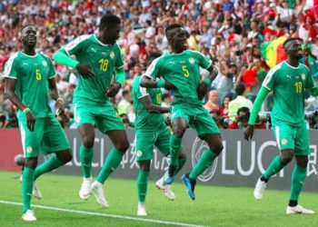 Equipe nationale :  Performances des Lions en 2018