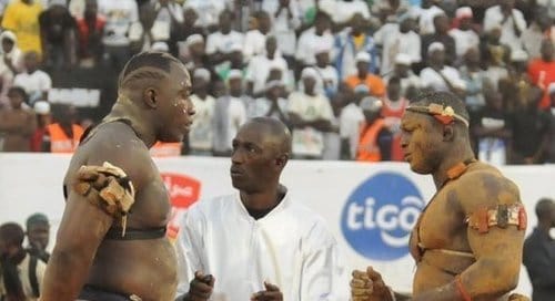 Lac de Guiers 2 : "Modou Lô daffa sop" - wiwsport Lac de Guiers 2 : "Modou Lô daffa sop" - wiwsport