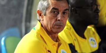 Alain Giresse: « Au Sénégal, j&rsquo;ai dû rebâtir un groupe »